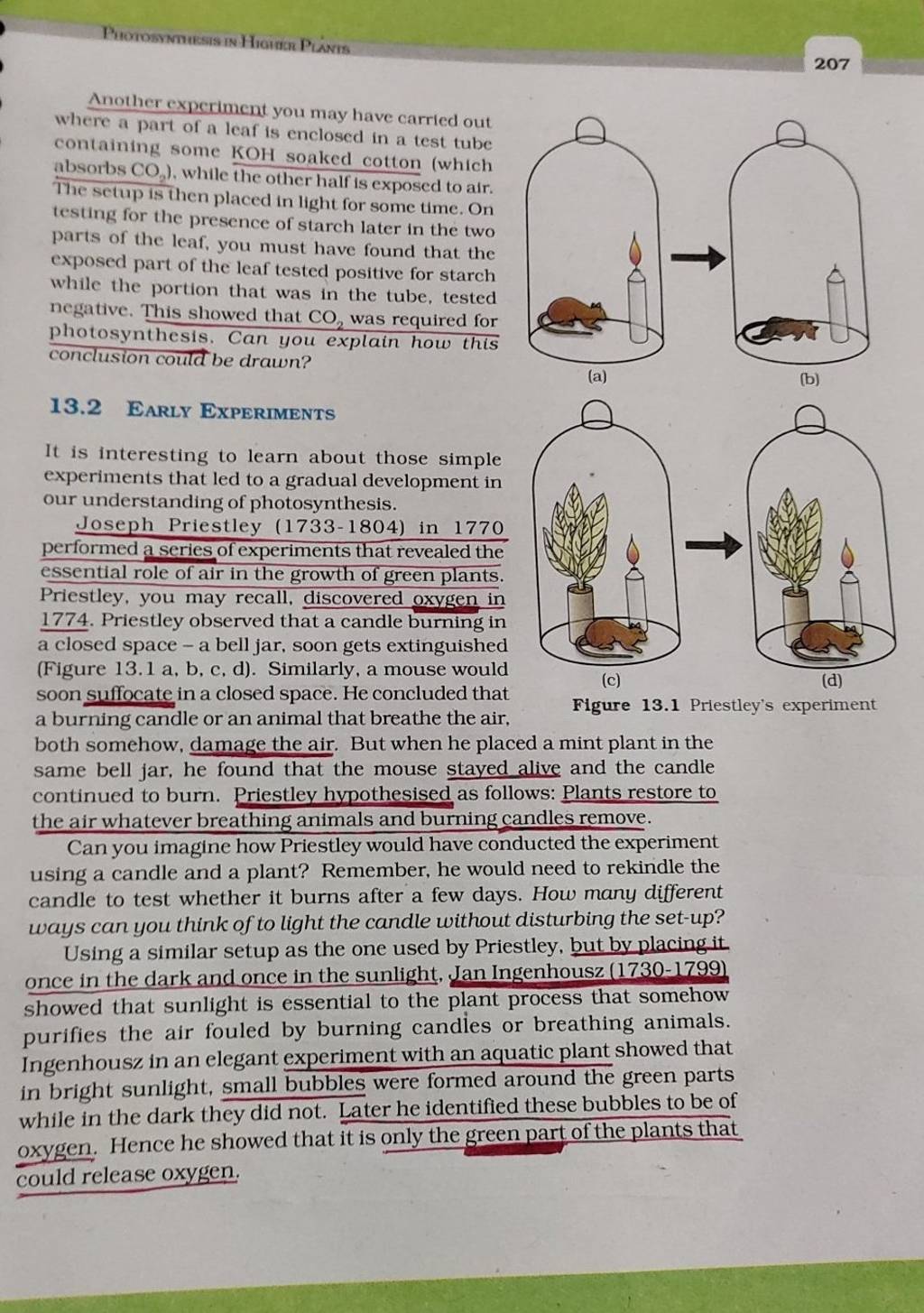 priestley experiment activity