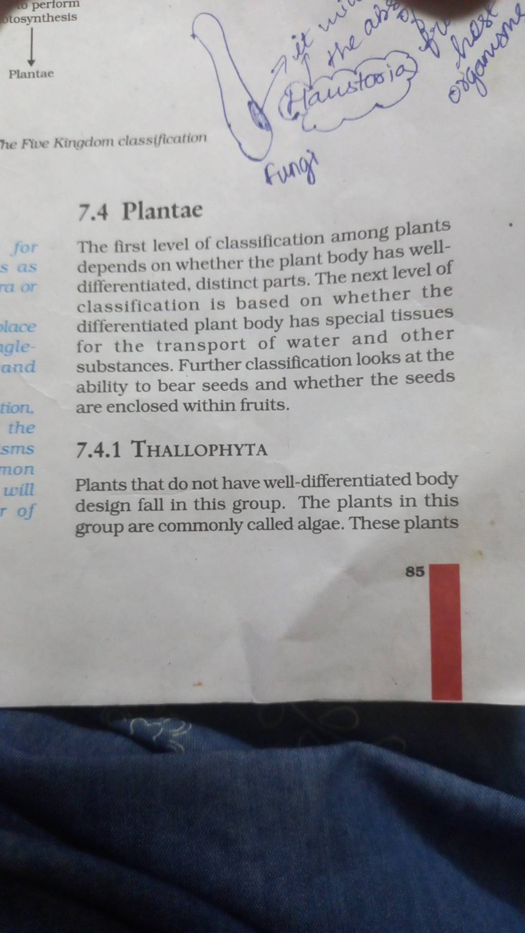 he Five Kingdom classification 7.4 Plantae for The first level of classif..