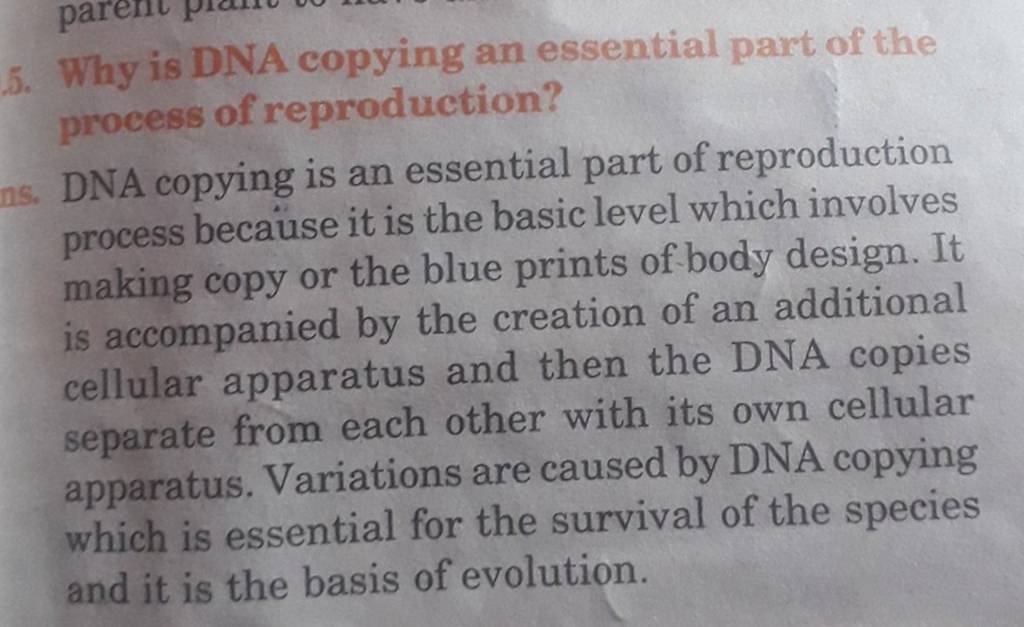 Why is dna copying an essential part of the process of reproduction