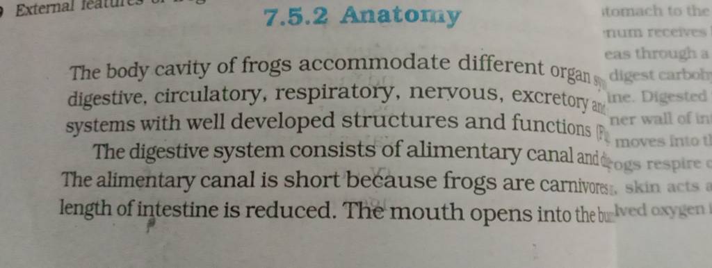 7.5.2 AnatonsyThe body cavity of frogs accommodate different organ dig