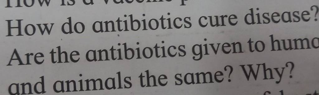 how-do-antibiotics-cure-disease-are-the-antibiotics-given-to-humo-and-an