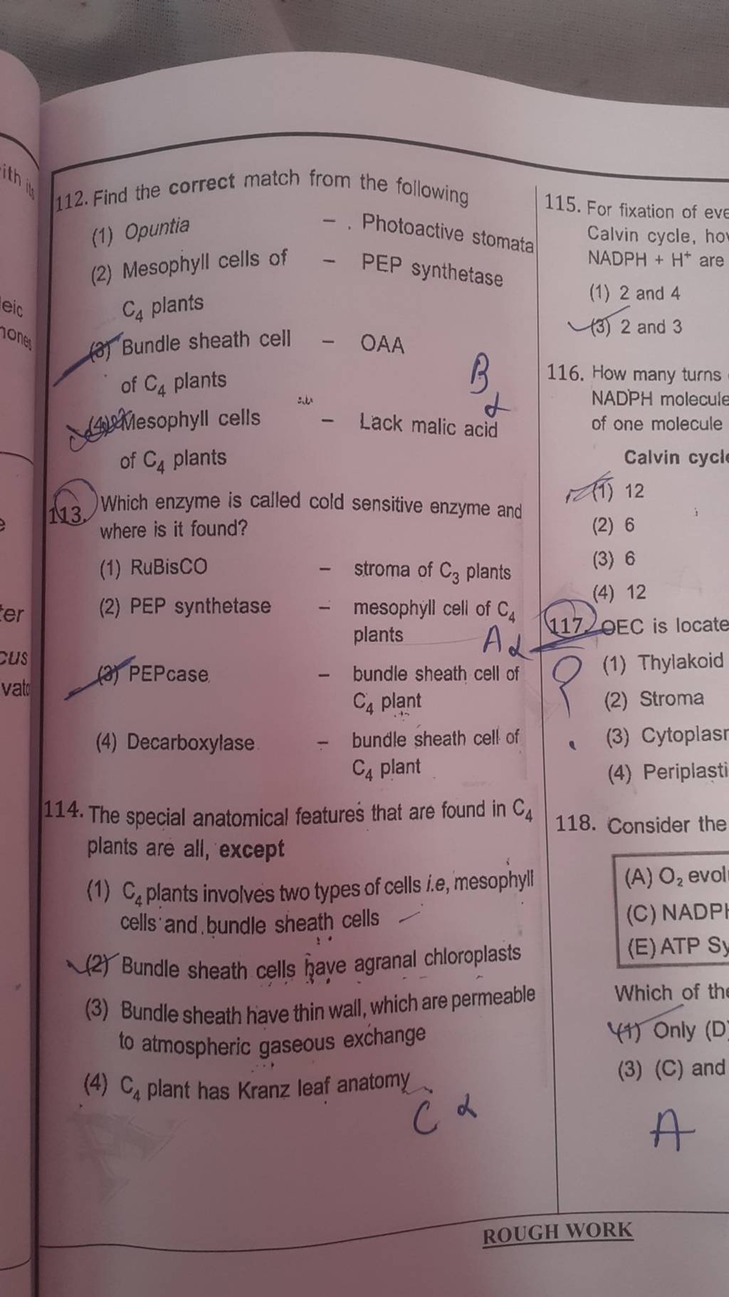 of C4 plants 114. The special anatomical features that are found in C4