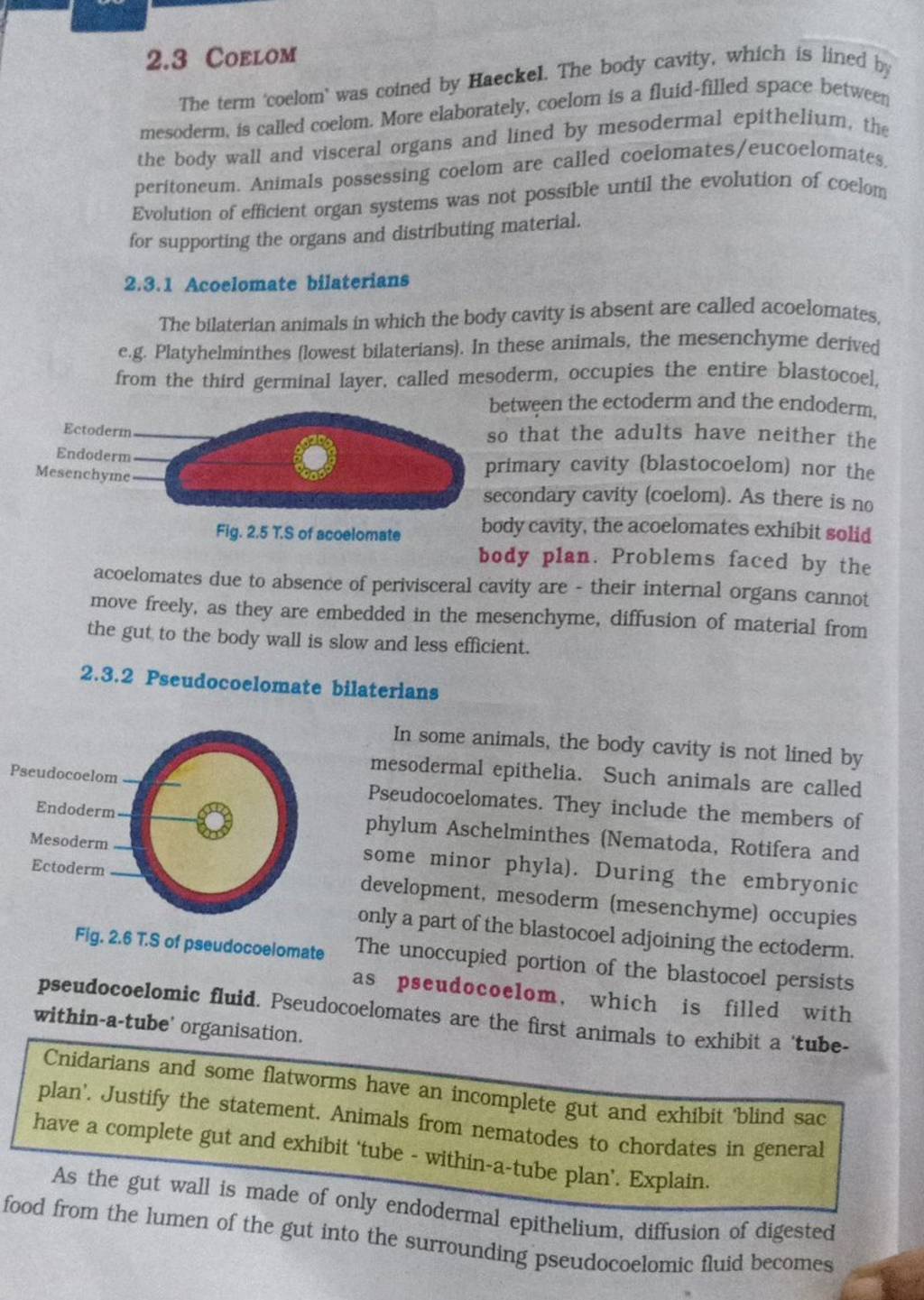 2.3 Coelom The Term 'coelom' Was Coined By Haeckel. The Body Cavity, Whic..