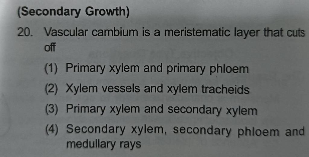 (Secondary Growth) 20. Vascular cambium is a meristematic layer that cuts..