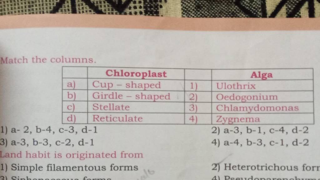 Match the columns. ChloroplastAlgaa)Cup - shaped1)Ulothrixb)Girdle - s