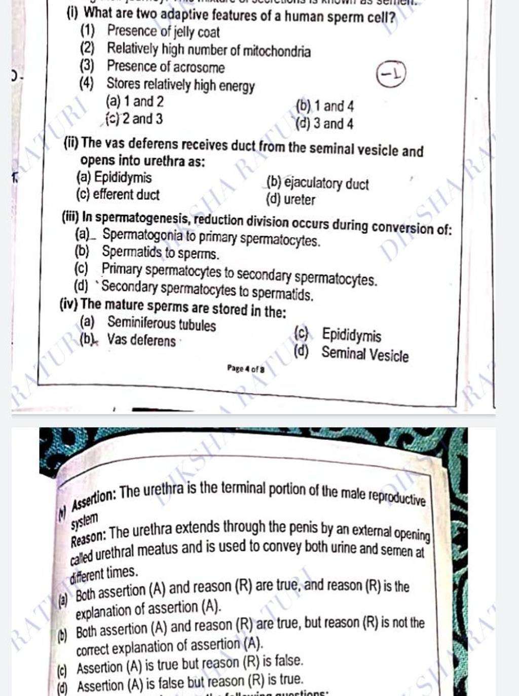 what-are-two-adaptive-features-of-a-human-sperm-cell-1-presence-of-je