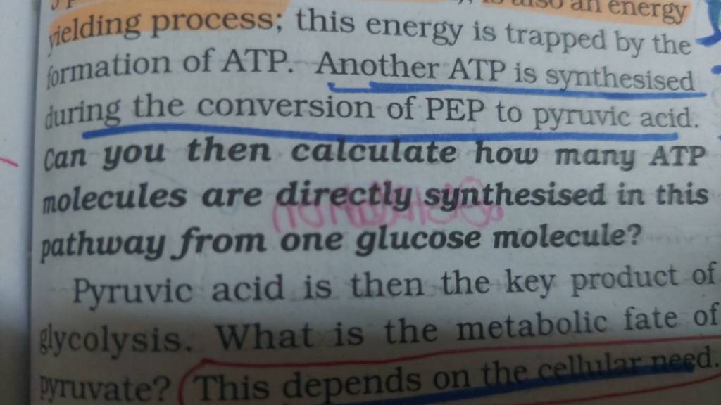 relding process; this energy is trapped by the formation of ATP. Another