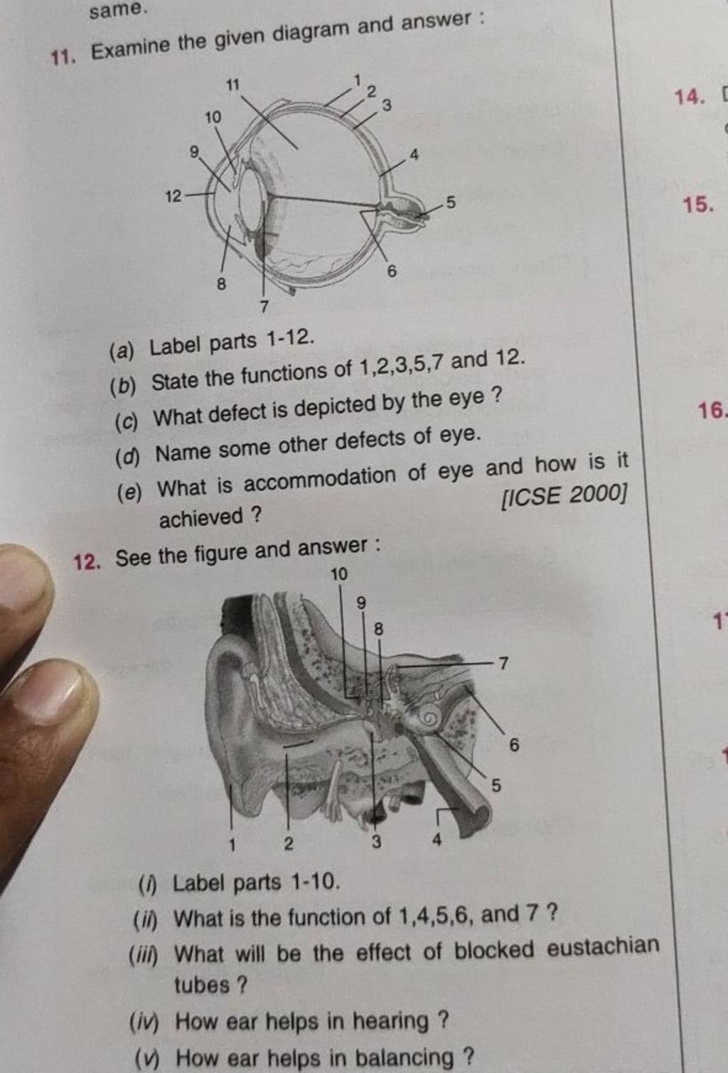 Examine The Given Diagram And Answer: | Filo