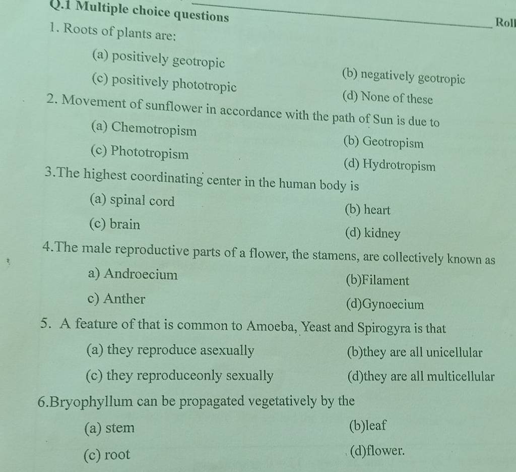 the-male-reproductive-parts-of-a-flower-the-stamens-are-collectively-kn