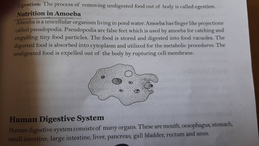 egestion-the-process-of-removing-undigested-food-out-of-body-is-called-e