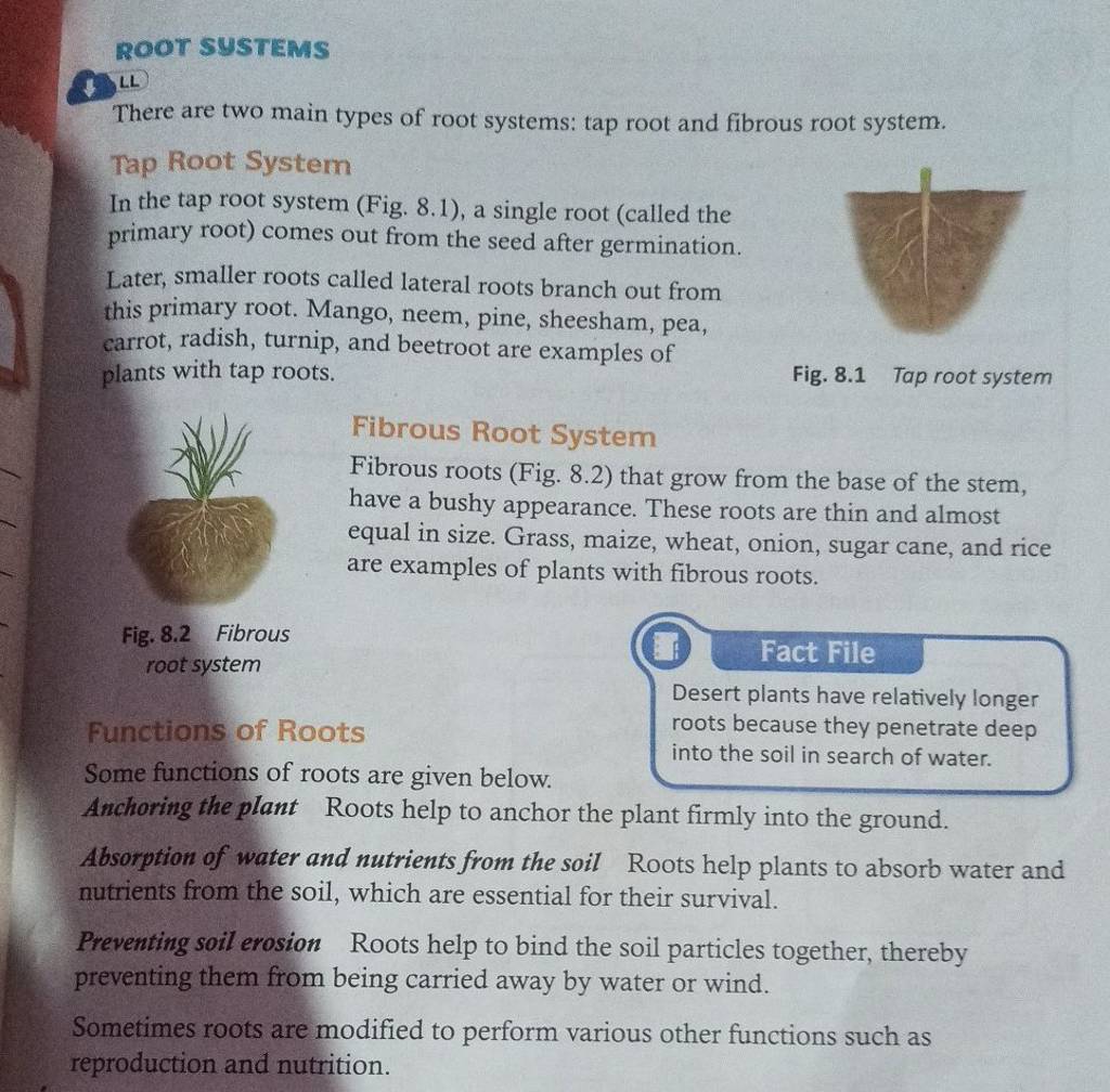 there-are-two-main-types-of-root-systems-tap-root-and-fibrous-root-syste