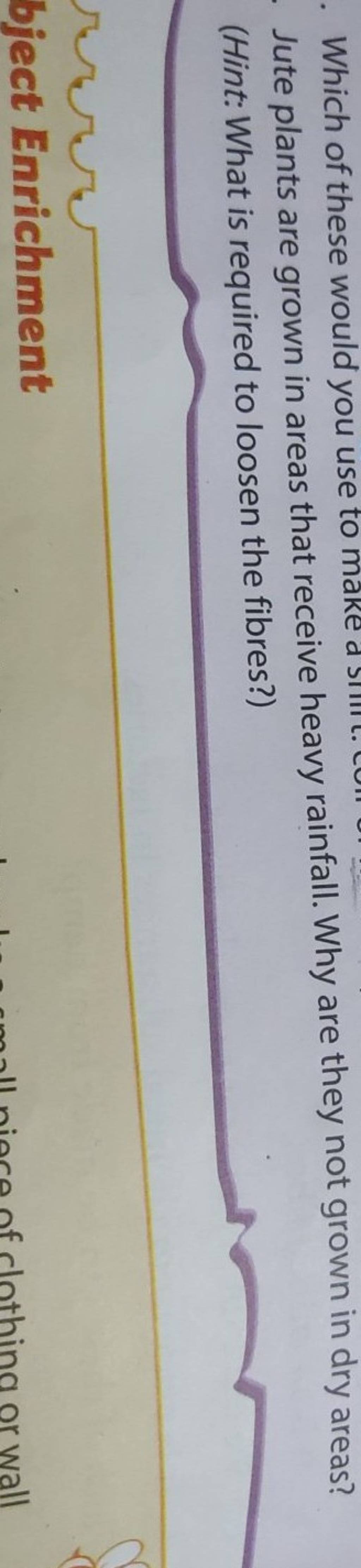 Jute plants are grown in areas that receive heavy rainfall. Why are they