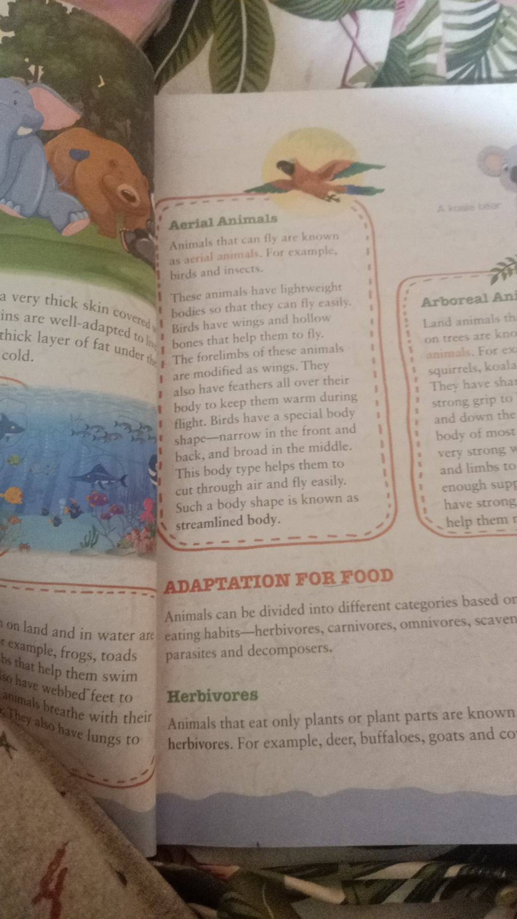 ADAPTATION FOR FOOD Animals can be divided into different categories base..