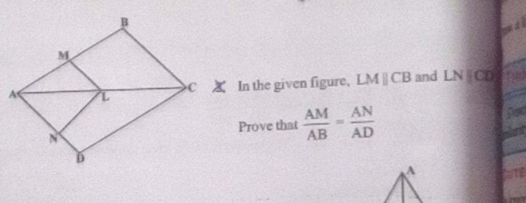 2. In The Given Figure, LM∥CB And LN∣CD. Prove That ABAM =ADAN | Filo