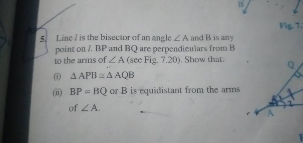 5. Line l is the bisector of an angle ∠A and B is any point on l. BP and