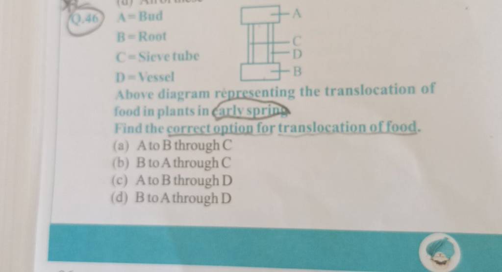 10 46 Above Diagram R presenting The Translocation Of Food In Plants In A 10-46-above-diagram-r-presenting-the-translocation-of-food-in-plants-in-a