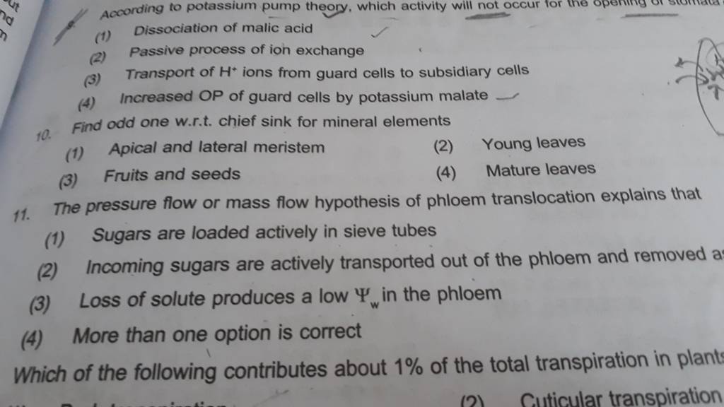 The Pressure Flow Or Mass Flow Hypothesis Of Phloem Translocation Explain