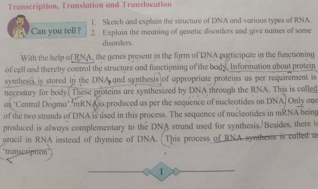 explain the process of transcription translation and translocation