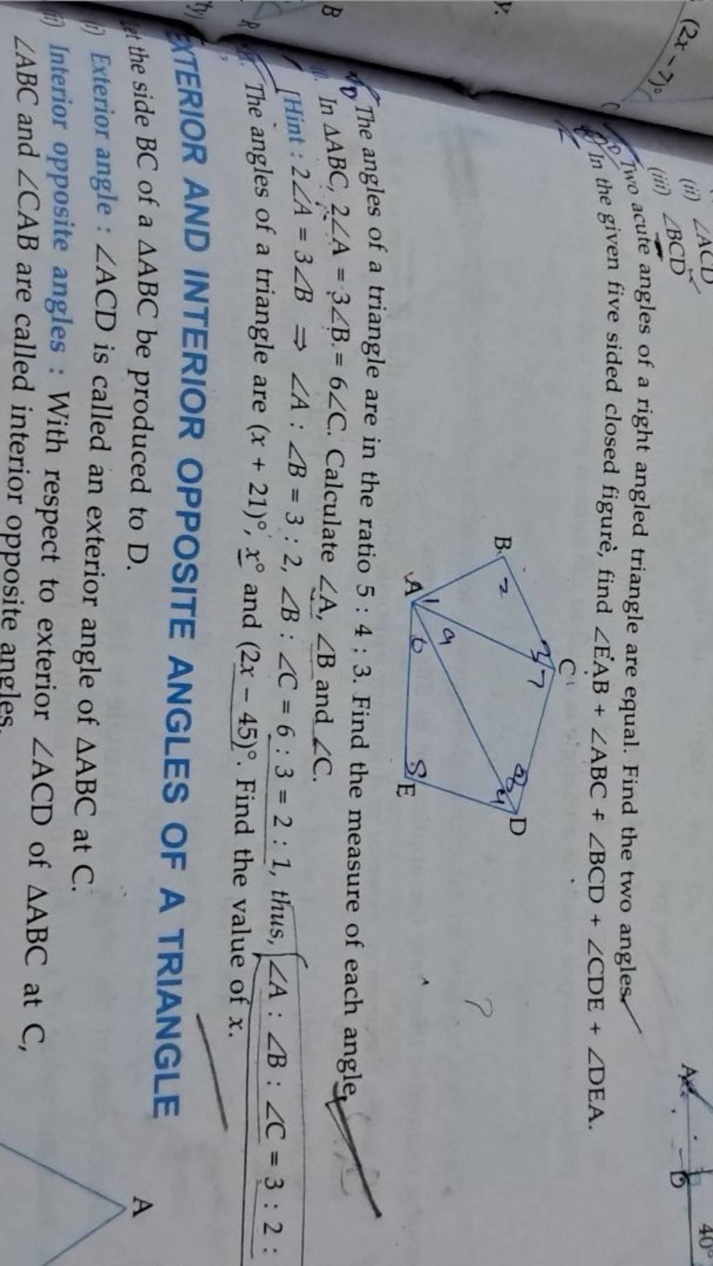 if two acute angles of a right triangle are equal