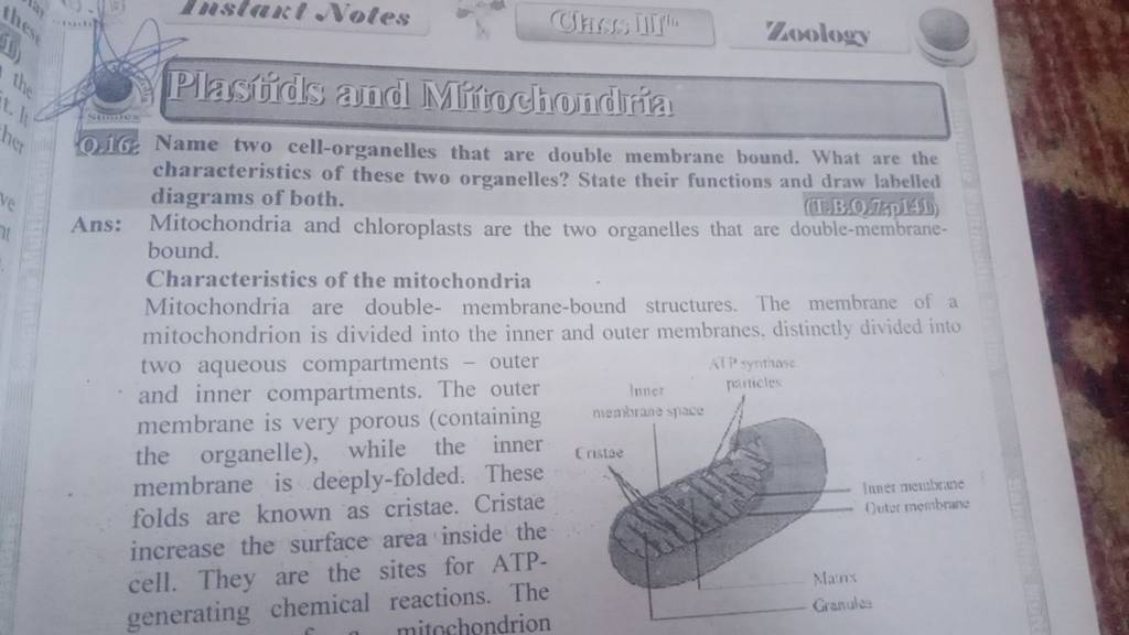 0 16 name two cell organelles that are double membrane bound what are th 