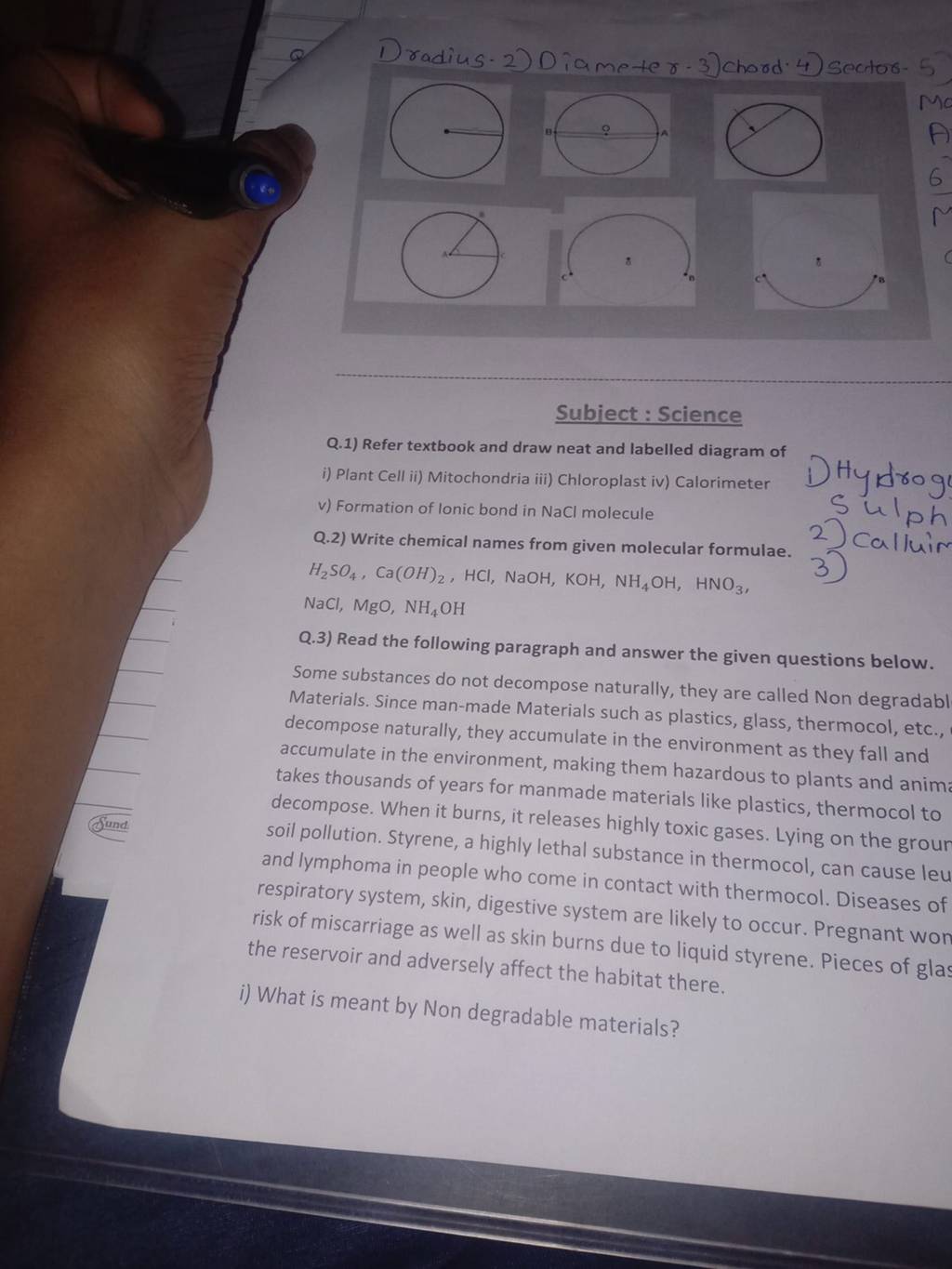 Q Refer Textbook And Draw Neat And Labelled Diagram Of I Plant Cell I