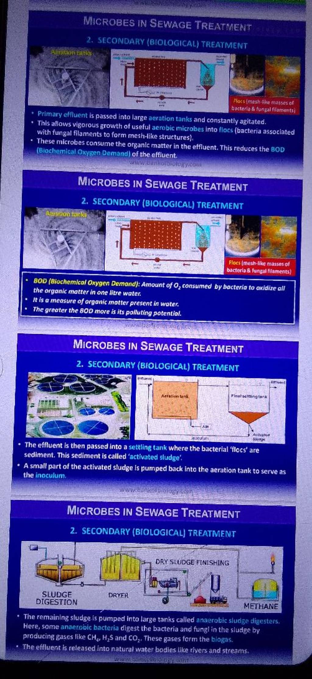 microbes-in-sewage-treatment-chapter-10-4-class-12-youtube