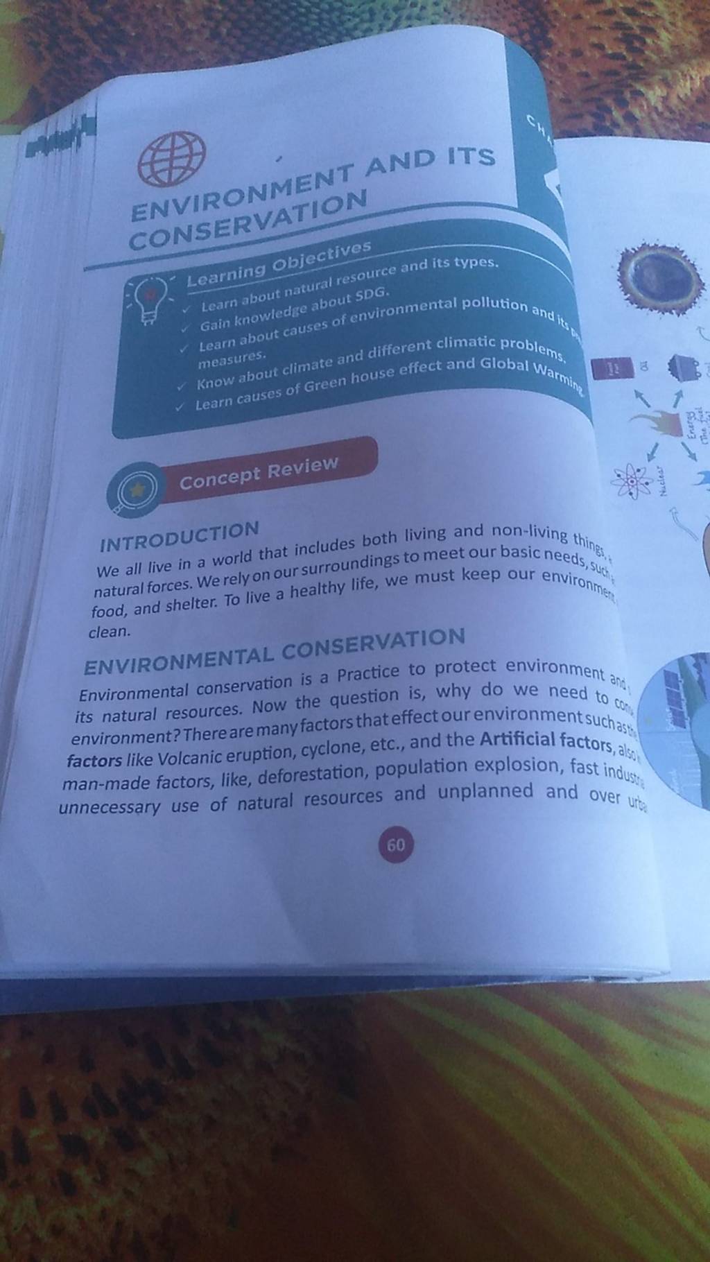 ENVIRONMENT AND ITS CONSERVATION ( ). Learning objectives Learn about nat..