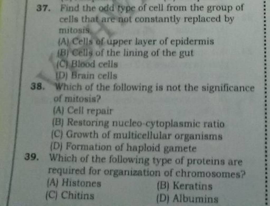 Which of the following type of proteins are required for organization 