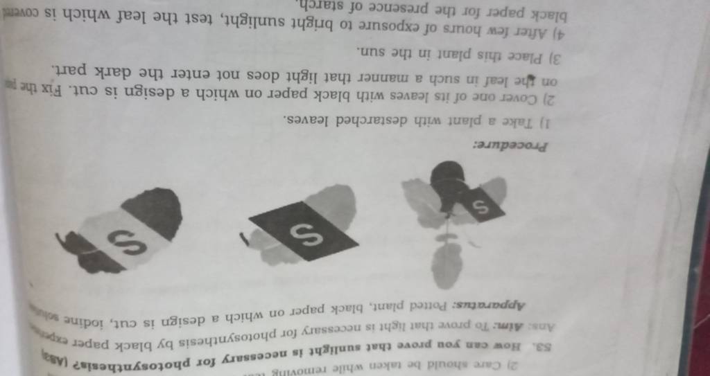 How can you prove that sunlight is necessary for photosynthesis asist