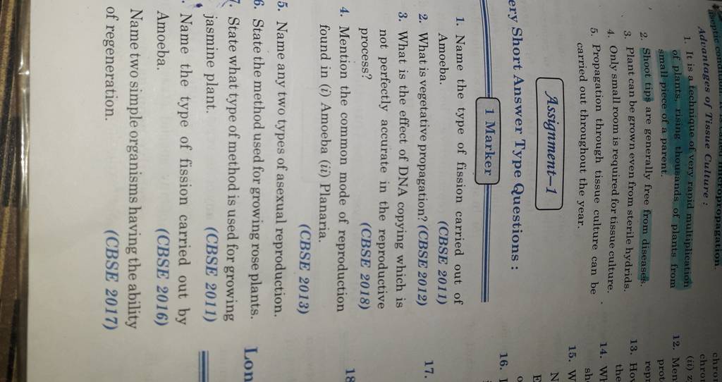 advantages-of-tissue-culture-filo