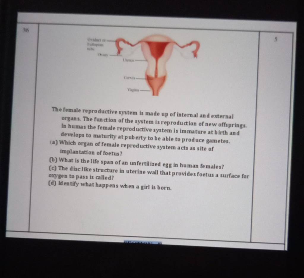 The female repro ductive system is made up of internal and external organ..