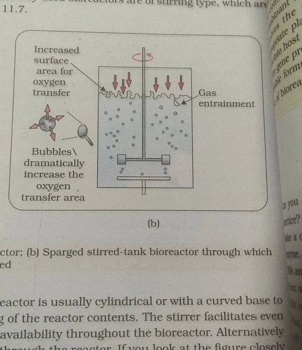 11.7 (b) ctor; (b) Sparged stirredtank bioreactor through which ed eacto..