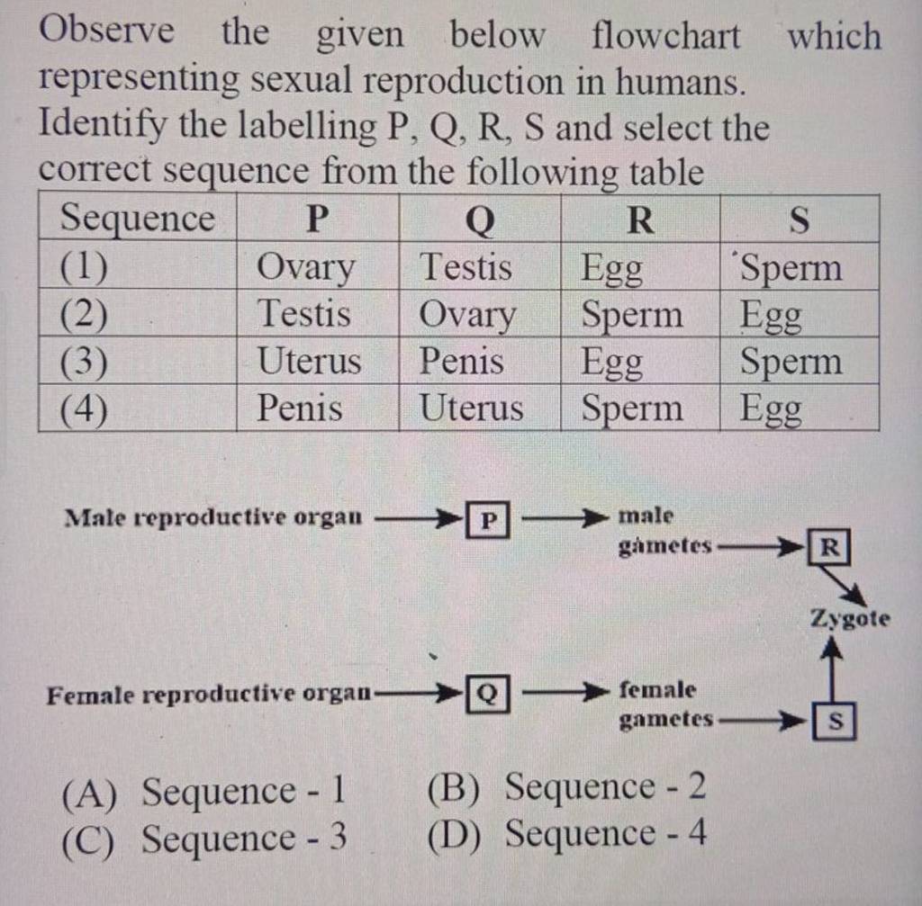 Observe The Given Below Flowchart Which Representing Sexual Reproduction 0978
