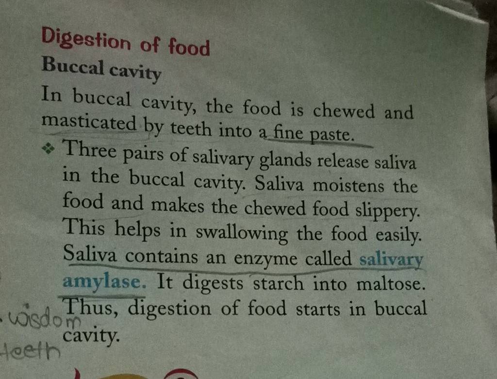Digestion of food Buccal cavity In buccal cavity, the food is chewed and