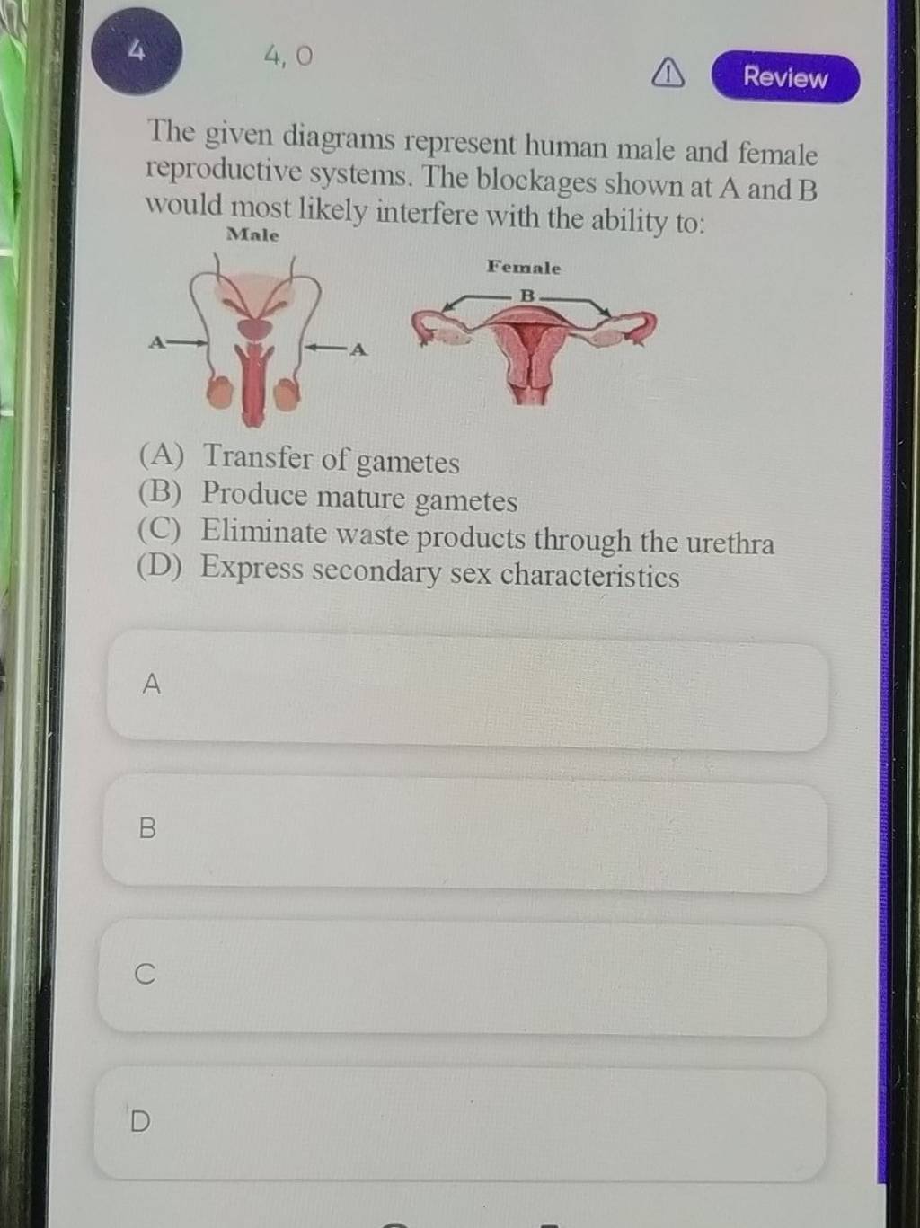 4 Review The given diagrams represent human male and female reproductive