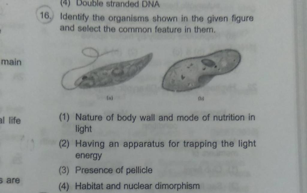 Identify the organisms shown in the given figure and select the common fe..