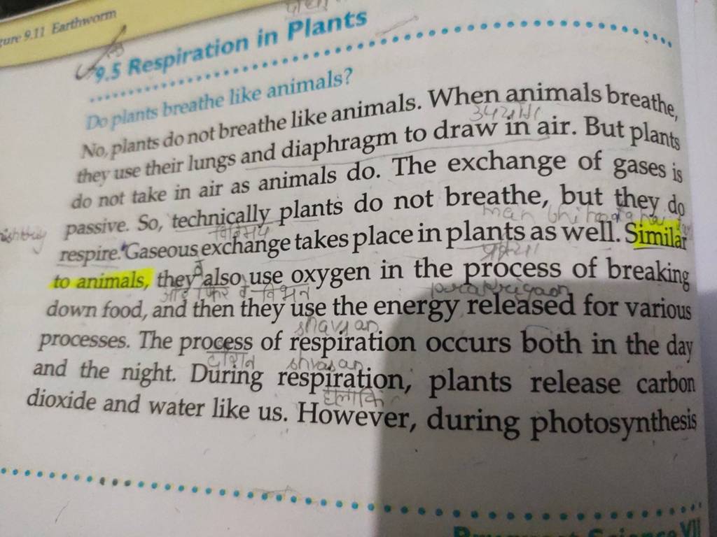 co.5 Respiration in Plants Do plants breathe like animals? No. plants do