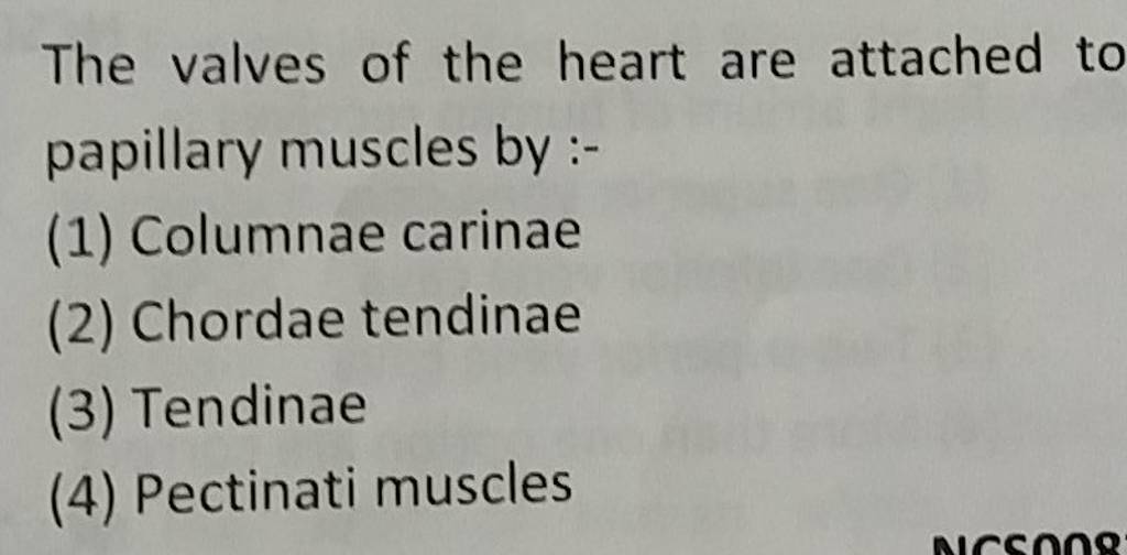 The valves of the heart are attached to papillary muscles by Filo