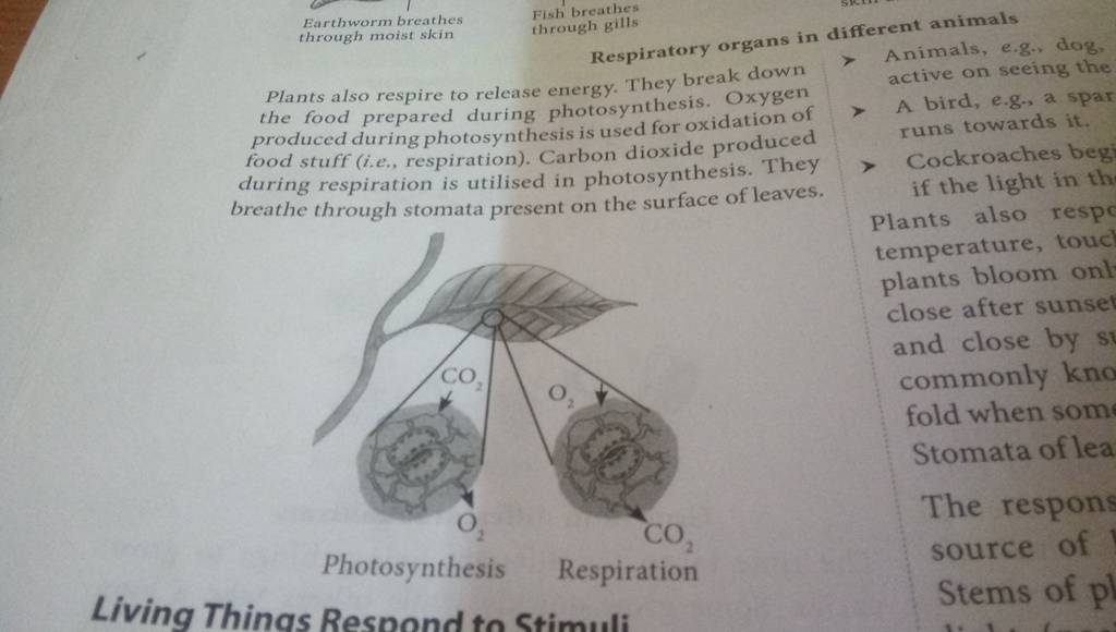 the food prepared during photosynthesis. Oxygen > active on seeing the pr..