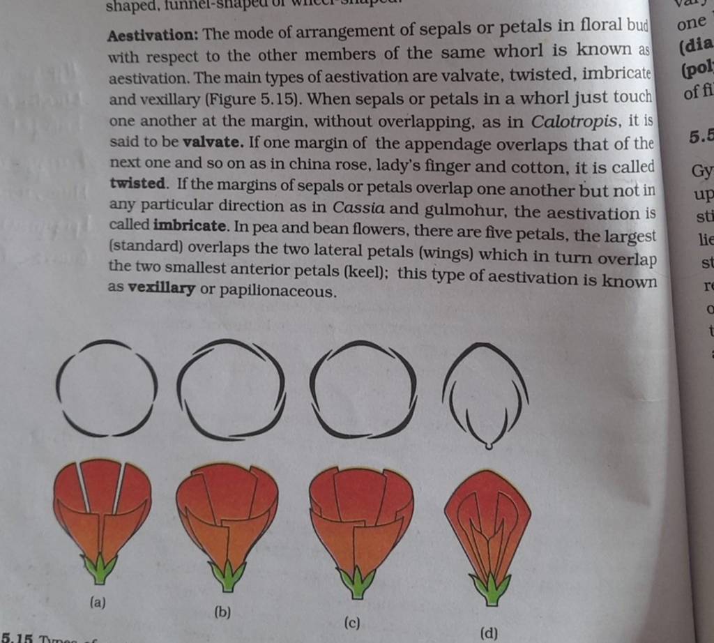 Aestivation The mode of arrangement of sepals or petals in floral bud on..