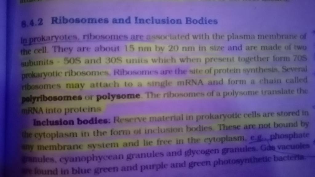 8-4-2-ribosomes-and-inclusion-bodies-in-prokaryotes-ribosomes-are-assocl