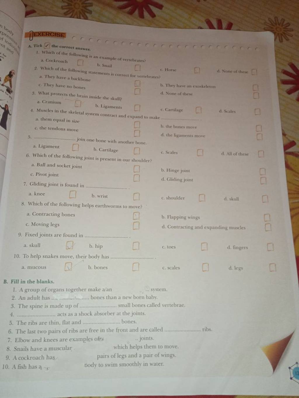 All of these a. Ball and socket joint c. Pivot joint b. Hinge joint 7. Gl..