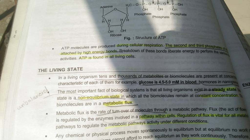 - ATP molecules are produced during cellular respiration. The second and