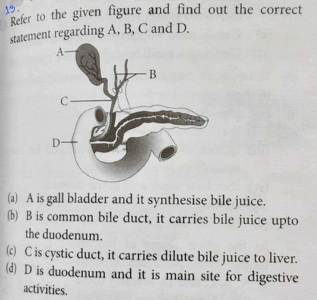 Refer To The Given Figure And Find Out The Correct Statement Regarding A