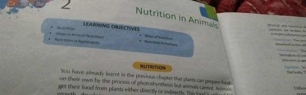 Nutrition in Animals - Nutrition LEARNING OBJECTIVES - Steps in Animai Nu.. Nutrition in Animals - Nutrition LEARNING OBJECTIVES - Steps in Animai Nu..