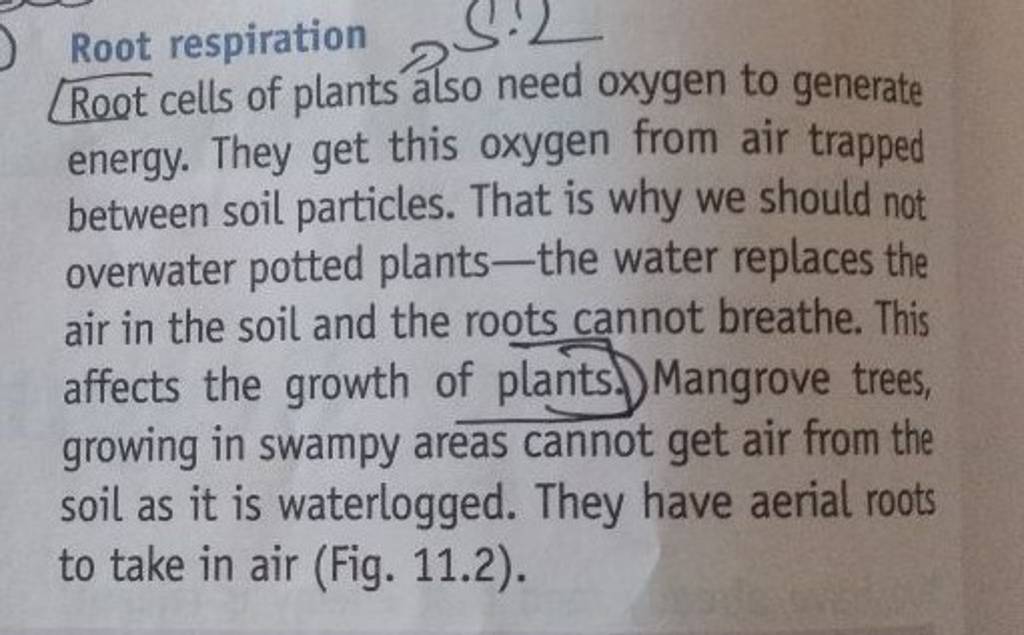 Root respiration Root cells of plants also need oxygen to generate energy..