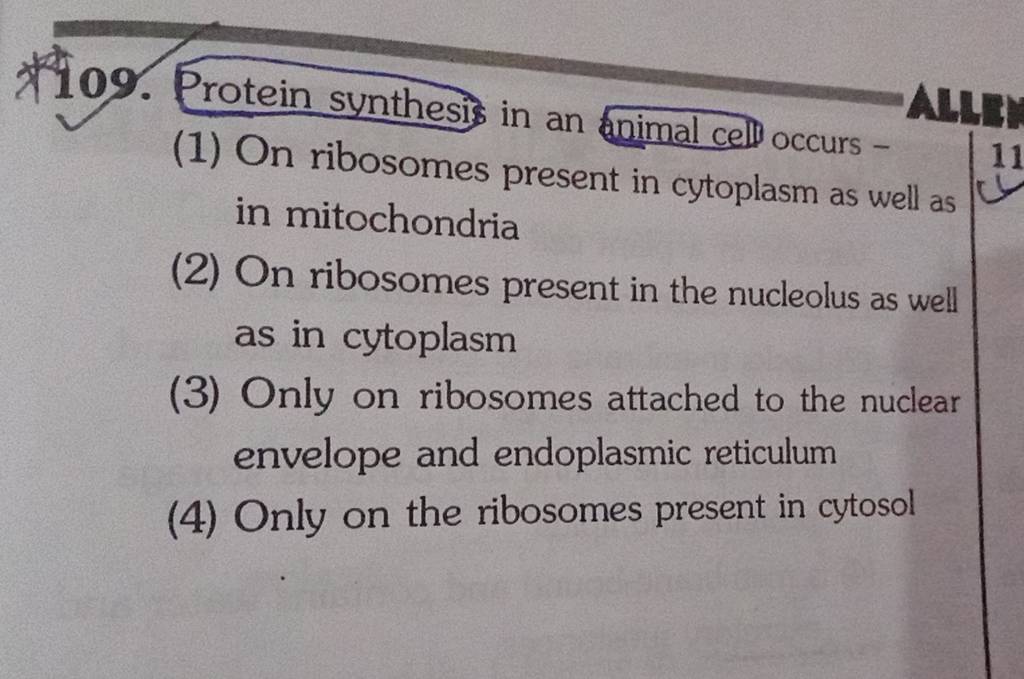 Protein synthesis in an animal cell occurs | Filo Protein synthesis in an animal cell occurs | Filo