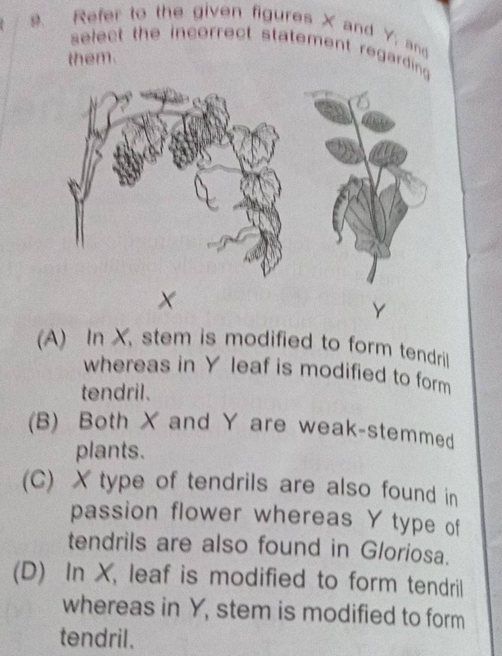 Refer To The Given Figures X And Y And Them Filo