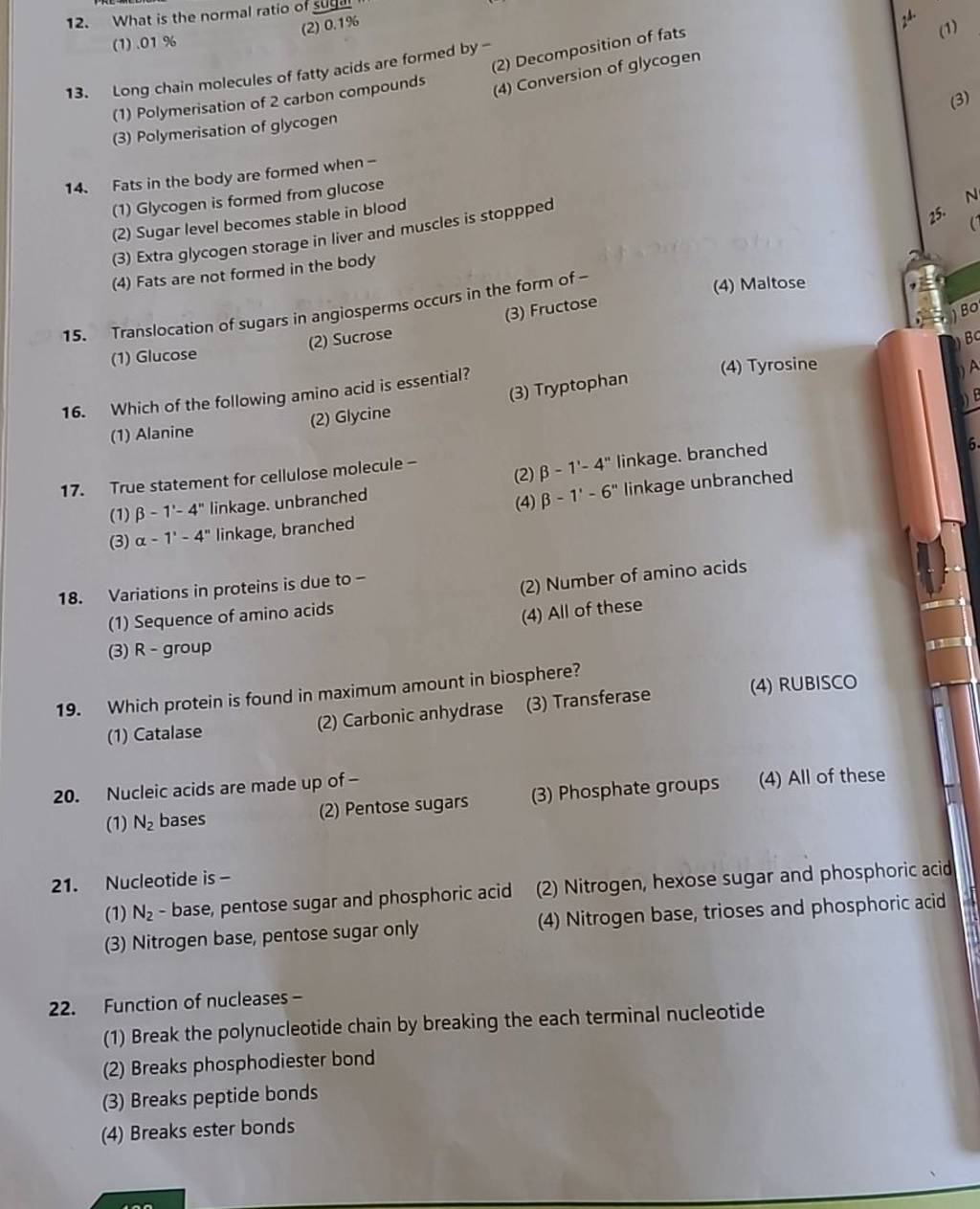 Nucleic acids are made up of Filo