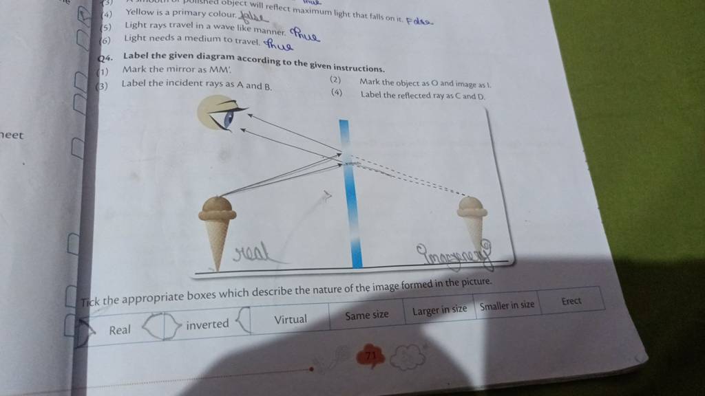 Q4. Label The Given Diagram According To The Given Instructions. | Filo